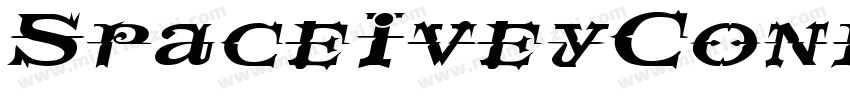 SpaceIveyCondensed Italic字体转换